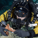 Diver holding jaw and vertebra of Protocyon, a wolf-like creature.